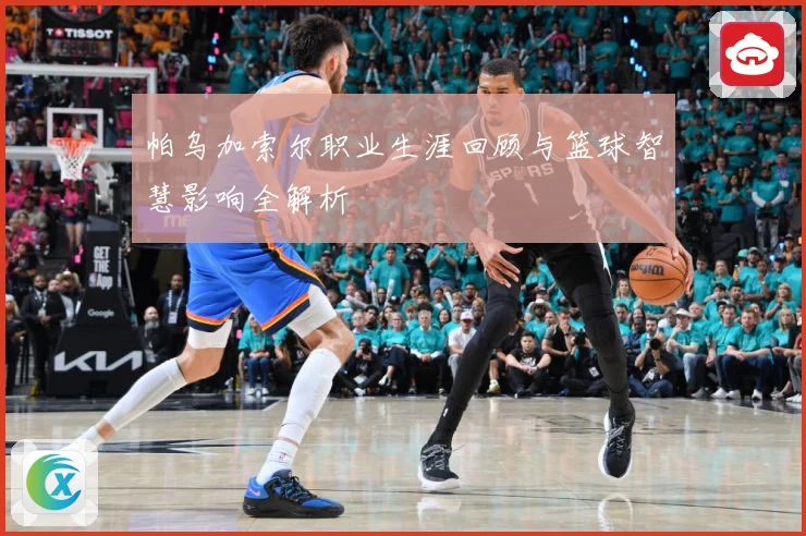 帕乌加索尔职业生涯回顾与篮球智慧影响全解析