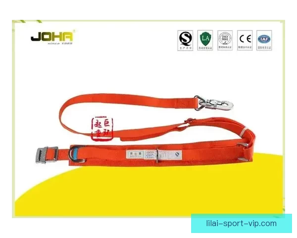 利来登录入口全面指南助您安全便捷快速访问平台体验