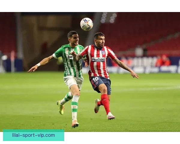 体育竞猜投注策略全面解析助你精准预测赛事结果提升盈利技巧